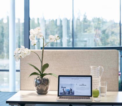 Krukväxt plast Orkidée med kruka