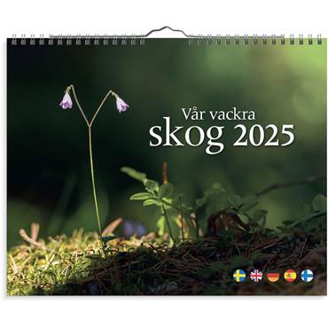 P61173525 Väggkalender Vår vackra skog 2025 Burde