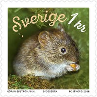 Tilläggsfrimärke Skogssork 1 kr 100 st/rulle