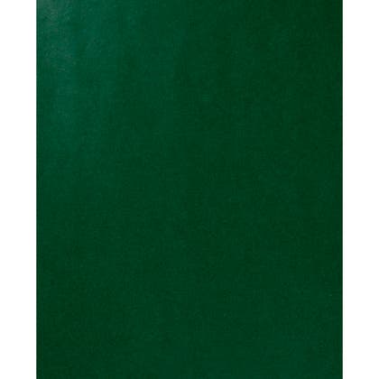 Presentpapper Grön 0,5x5 m