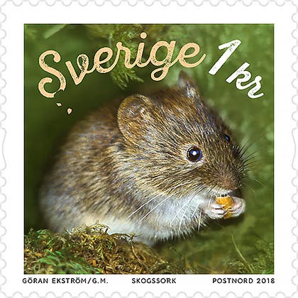 Tilläggs Frimärke Skogssork 1 Kr 100 st/rulle